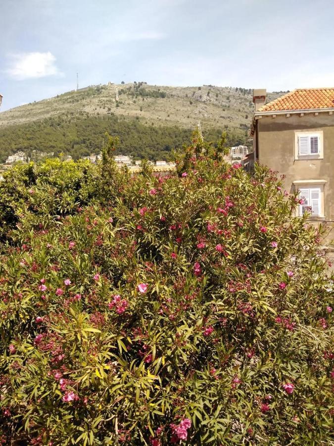 Joy Apartments Old Town Dubrovnik Exterior foto